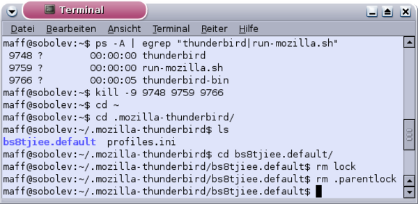 Programmfenster in Thunderbird